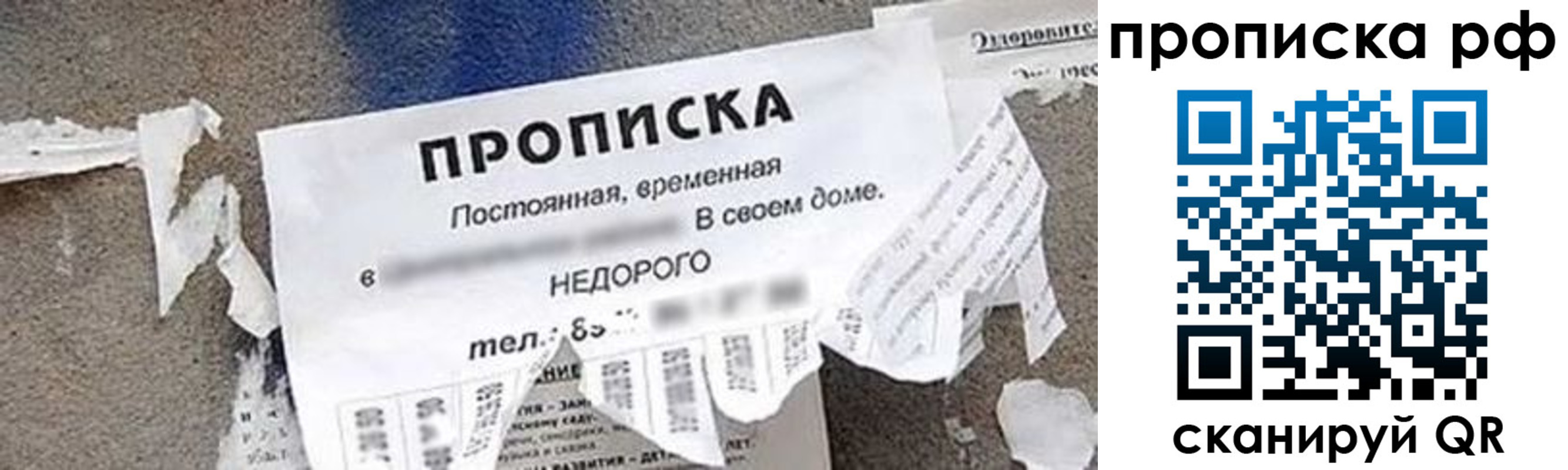 где прописаться в Московской области
